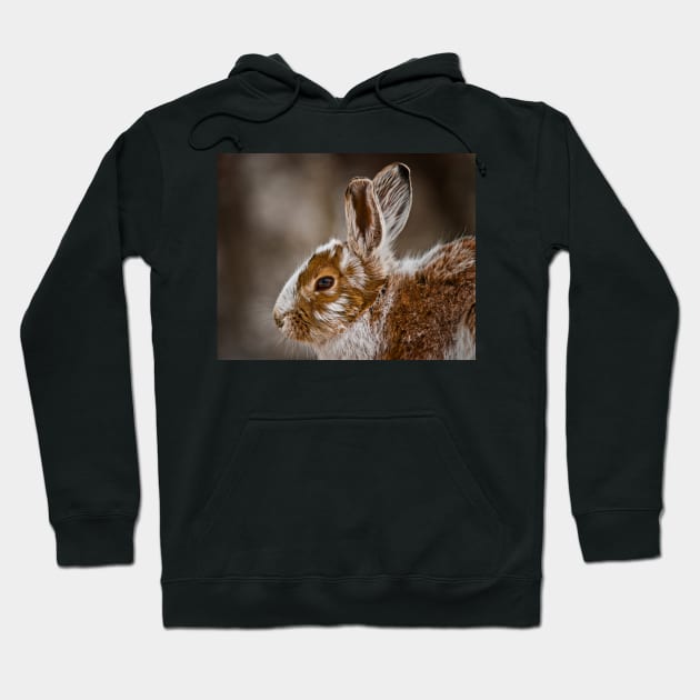 Show Shoe Hare Hoodie by jaydee1400